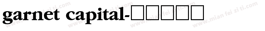 garnet capital字体转换